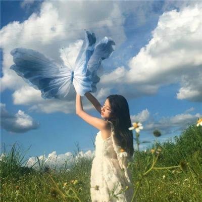 闹剧谜案